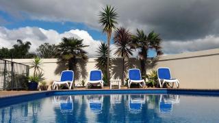 Bay Palm Motel - Mount Maunganui - 9