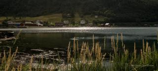 Grandane Feriehus - Stongfjorden - 8