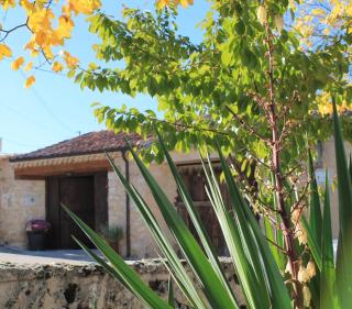 Cotanilla - Cubillo - 8