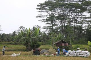 Pondok Gepokan Homestay - Ubud - 0