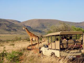 Nkomazi Game Reserve by NEWMARK - Badplaas - 2