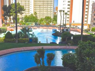 Residence Vacanza Torre Montecarlo - Benidorm - 4