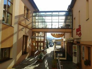Parkhotel Centrum - 1