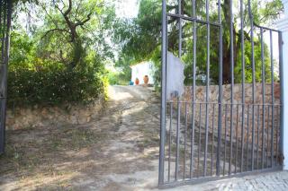 Quinta Teresinha - Estômbar - 6