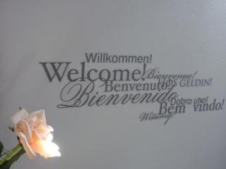 Ferienwohnung-Dorothe - Rheinau - 3