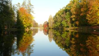 Blick zum Maimont - Ludwigswinkel - 3