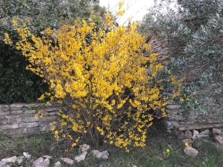 La Borie en Provence - 5