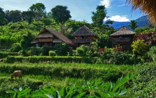 Rinjani Mountain Garden - Bayan - 0