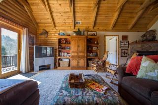 Poppy's Hideaway on the Shenandoah River with huge lawns and hang-out areas - Luray - 6