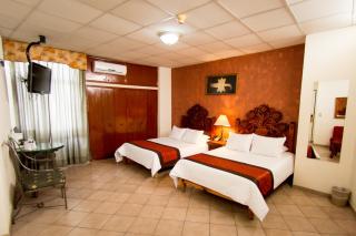 Hotel Real Azteca Boulevard - León - 9