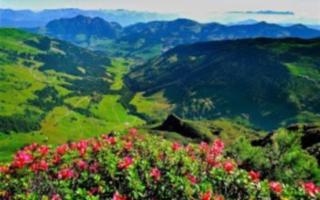 Alpbachblick - Alpbach - 1