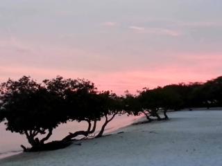 Aruba Surfside Marina - Oranjestad - 9
