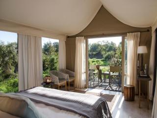 Simbavati River Lodge - Timbavati Game Reserve - 8