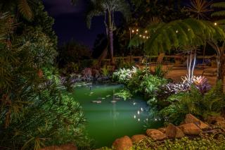 El Yunque Rainforest Inn - Rio Grande - 5