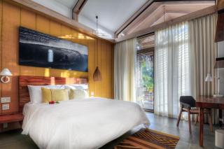 The Gilded Iguana - 2