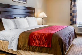 Comfort Inn Monterey Park - Los Angeles - Monterey Park - 2