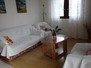 Holiday house with a swimming pool Zadar - Diklo, Zadar - 11700 - 1
