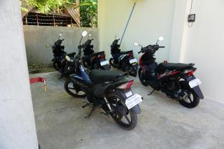 Alimpay Foresters Apartment - Panglao - 8