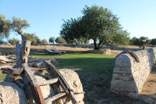 Tenuta Zannafondo - Donnafugata - 7