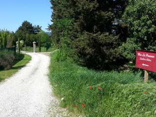 Mas la Provence - LʼIsle-sur-la-Sorgue - 6