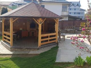 Pensiunea BRADU - Piatra Neamţ - 3