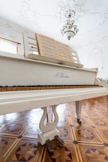 The Grand Piano Villa - Kutaisi - 0