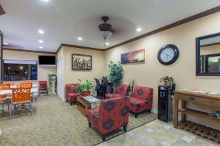 Super 8 by Wyndham Houston/Willowbrook Hwy 249 - 1