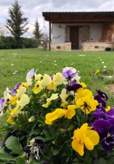 B&B Cuor Di Lavanda - 3