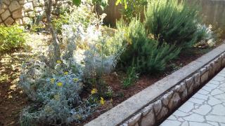 Roza - Cres - 6