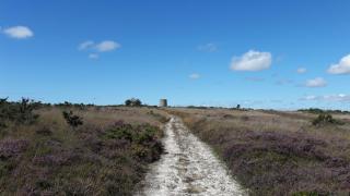 Gîtes La Vicomterie - 1