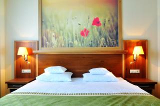 Hotel Sonnenhof - Suceava - 3