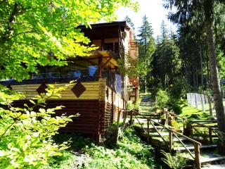 Complex Vila Balea - Cumpăna - 7