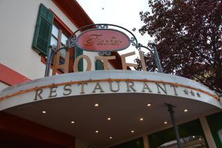 Hotel-Restaurant Fischer - Bad Waltersdorf - 9