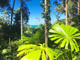 Daintree Magic Holiday House - Cow Bay - 7