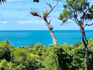 Daintree Magic Holiday House - Cow Bay - 2