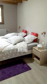 Les jumeaux - Granges-sur-Vologne - 6