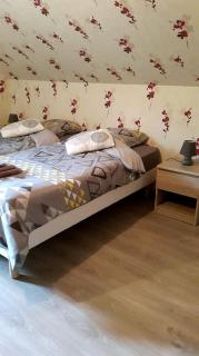 Les jumeaux - Granges-sur-Vologne - 3