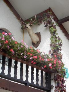 gasthof lederhose - Diepenbeek - 7