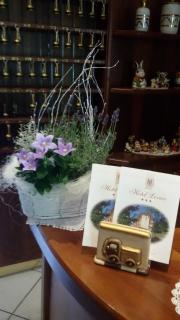Hotel Levico - Levico Terme - 5