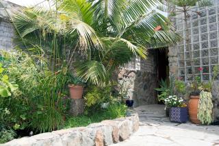 Casa El Drago-TAFIRA BAJA - 3