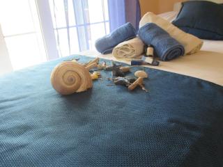 Elena's House Garden - 2