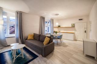 Apartamenty toruńskie pod Krzywą Wieżą - Toruń - 6