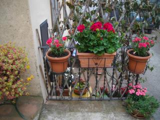 La Corte del Frate - Panzano - 1