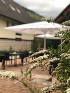 Landhotel Traube - Baden-Baden - 3