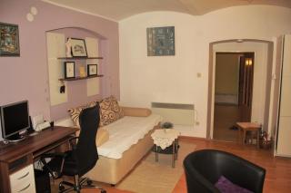 Apartments with WiFi Zagreb - 15121 - 3