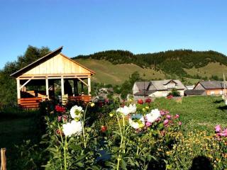 Pensiunea Cristiana-Bucovina - 9