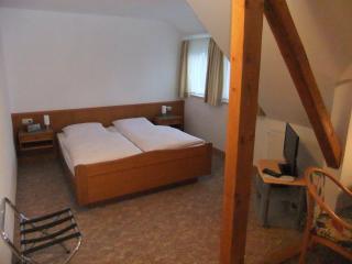 Gasthof Rotes Roß - Zell im Fichtelgebirge - 8