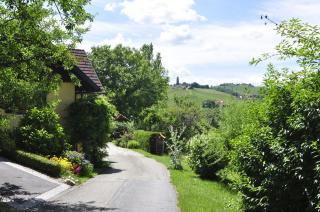 Ferienwohnungen Weingut Familie Danko - 4