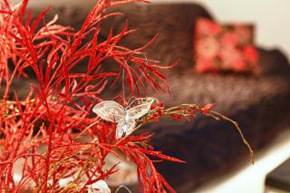 Stella Paradise "by Checkin" Adults Only - 5