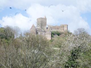 Les Marronniers - La Chapelle-sous-Brancion - 7